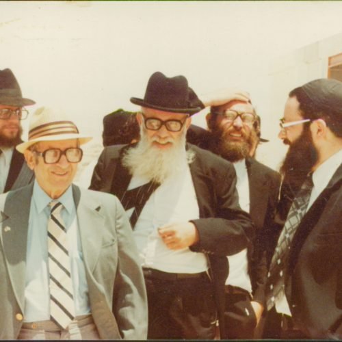 היסטוריה של מעלה עמוס בשלבי הקמתה